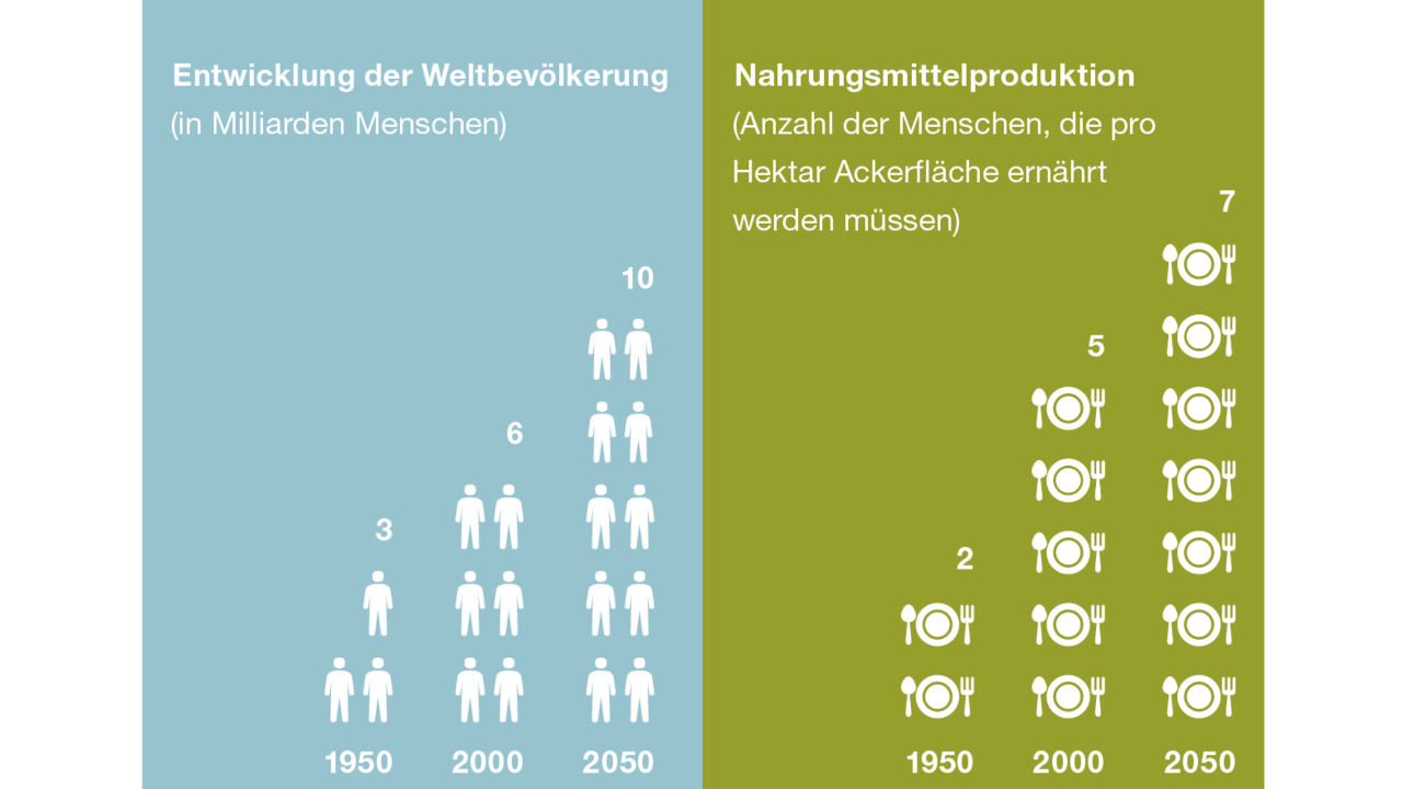 kws_infografik_bevoelkerungswachstum.png