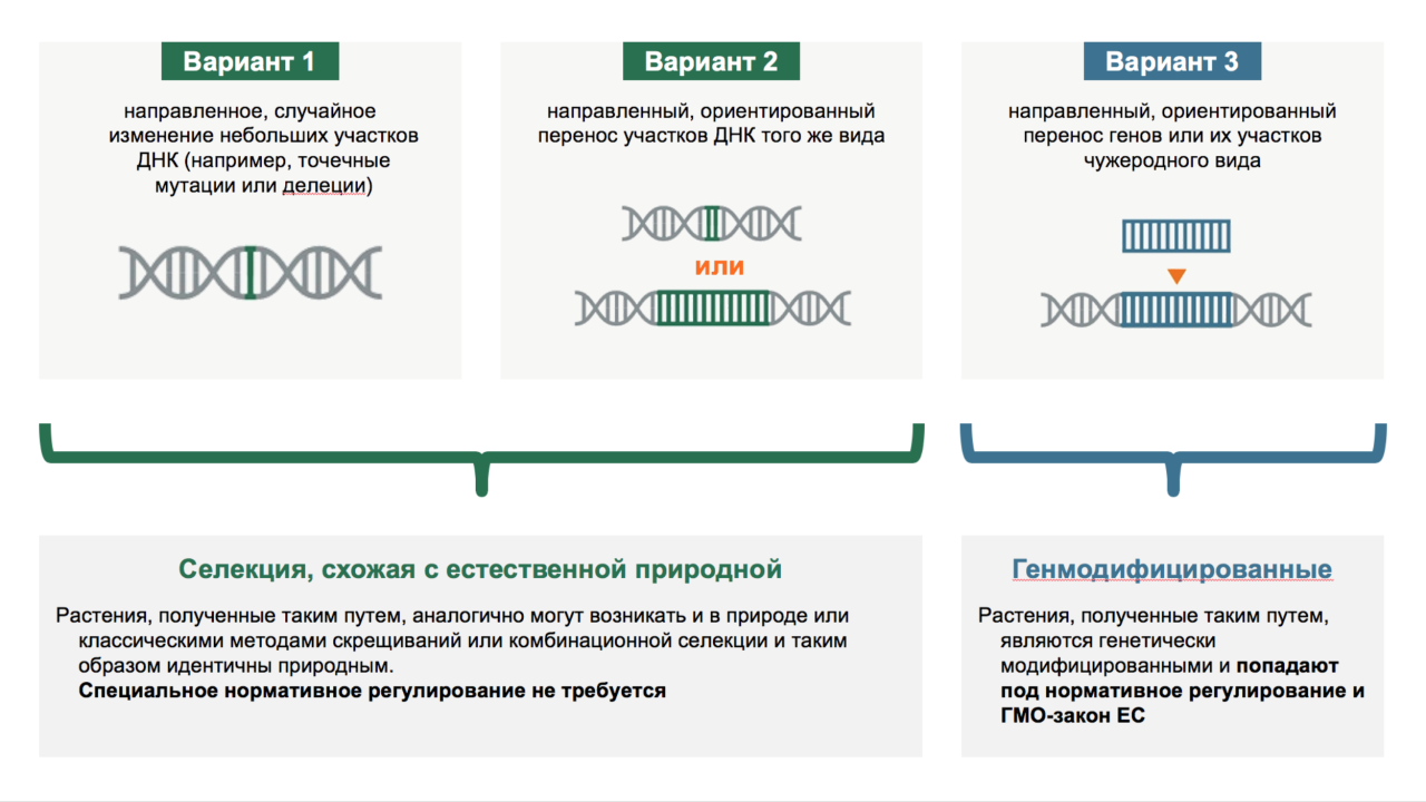 KWS-RU-Innovation-Infographic-future-breeding-opportunities.png