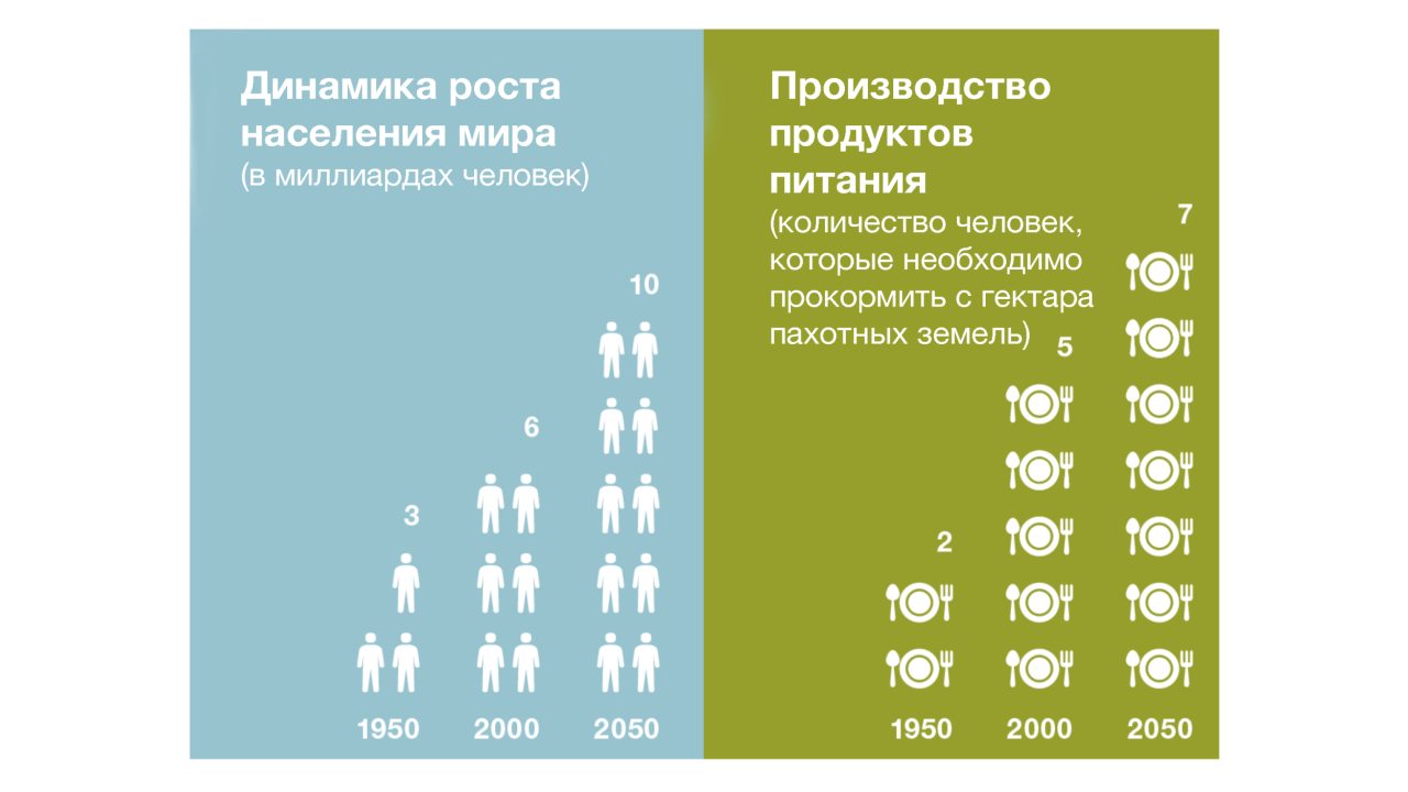 KWS-RU-Innovation-Infographic-future-food-production.png