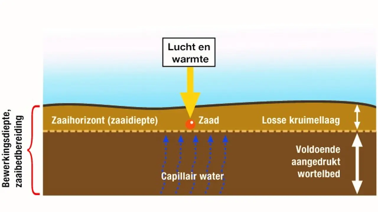 Kruimelig zaaibed en vast wortelbed voor een vlotte start