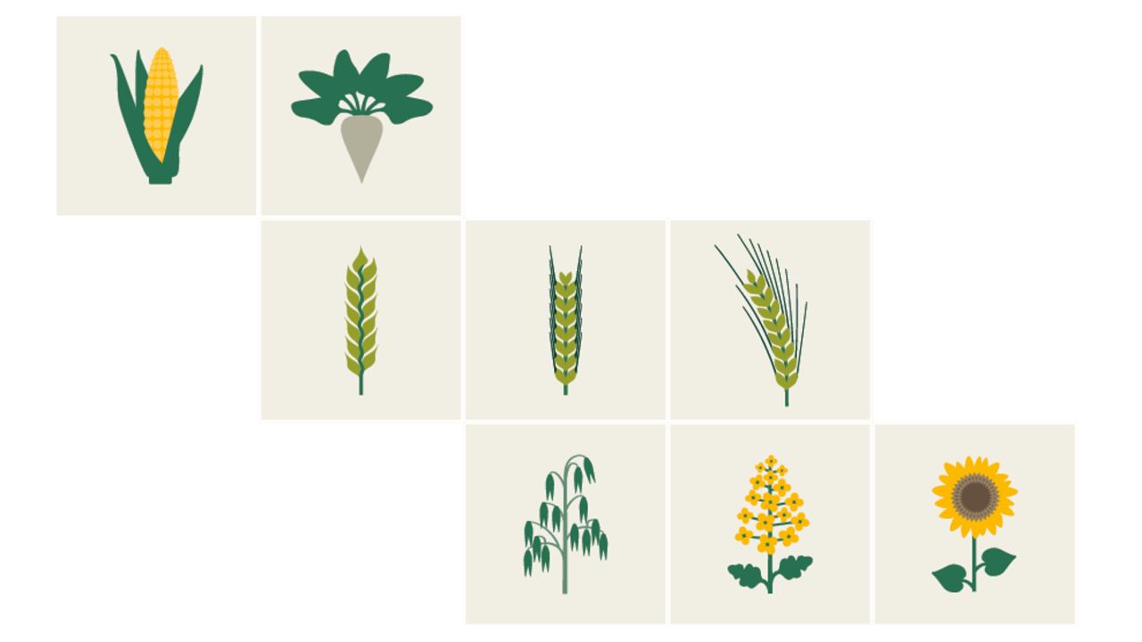 kws_grafik_geschaeftsfelder_2.png