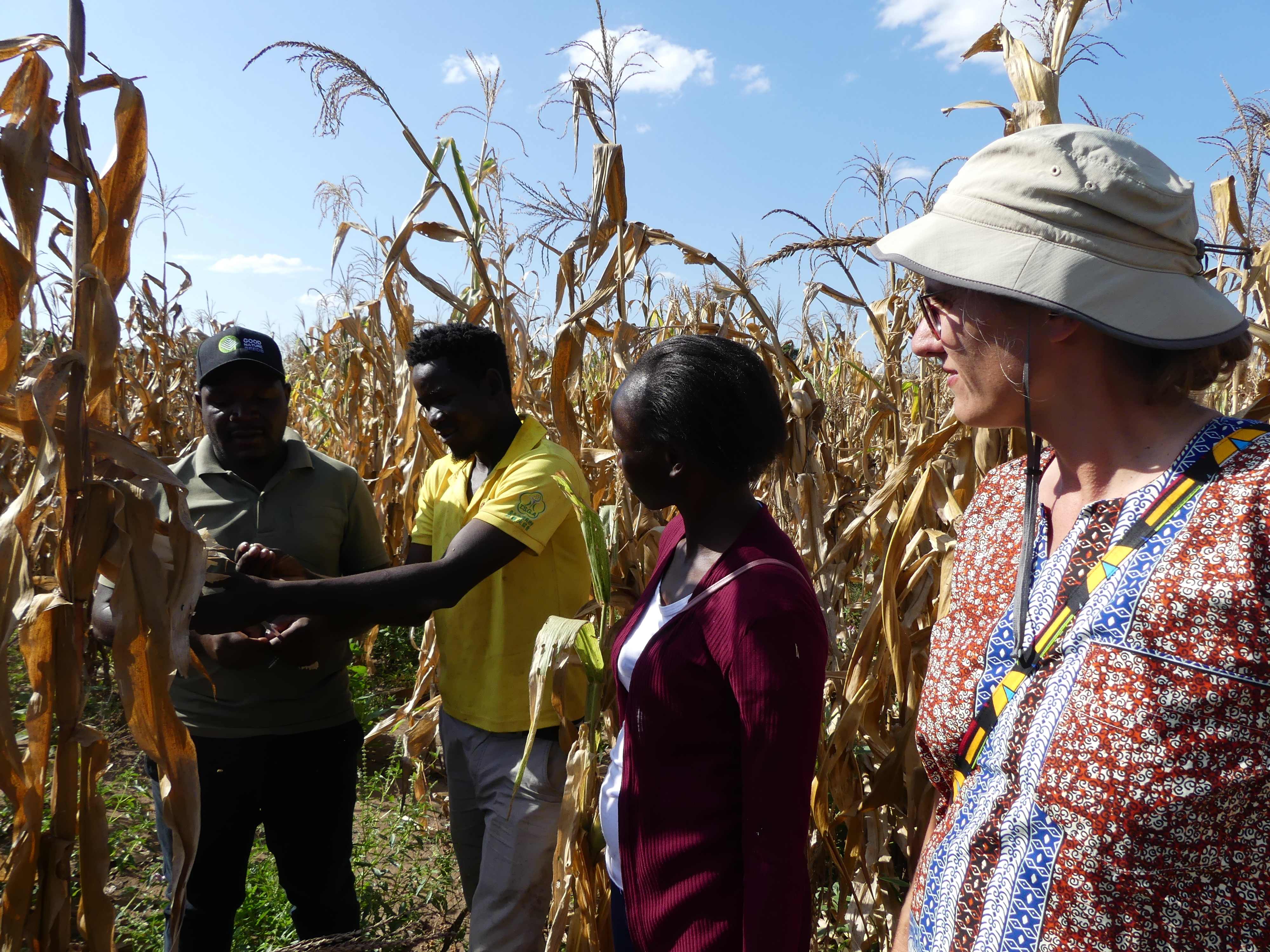 KWS and local farmer team discussing in the on-trial station