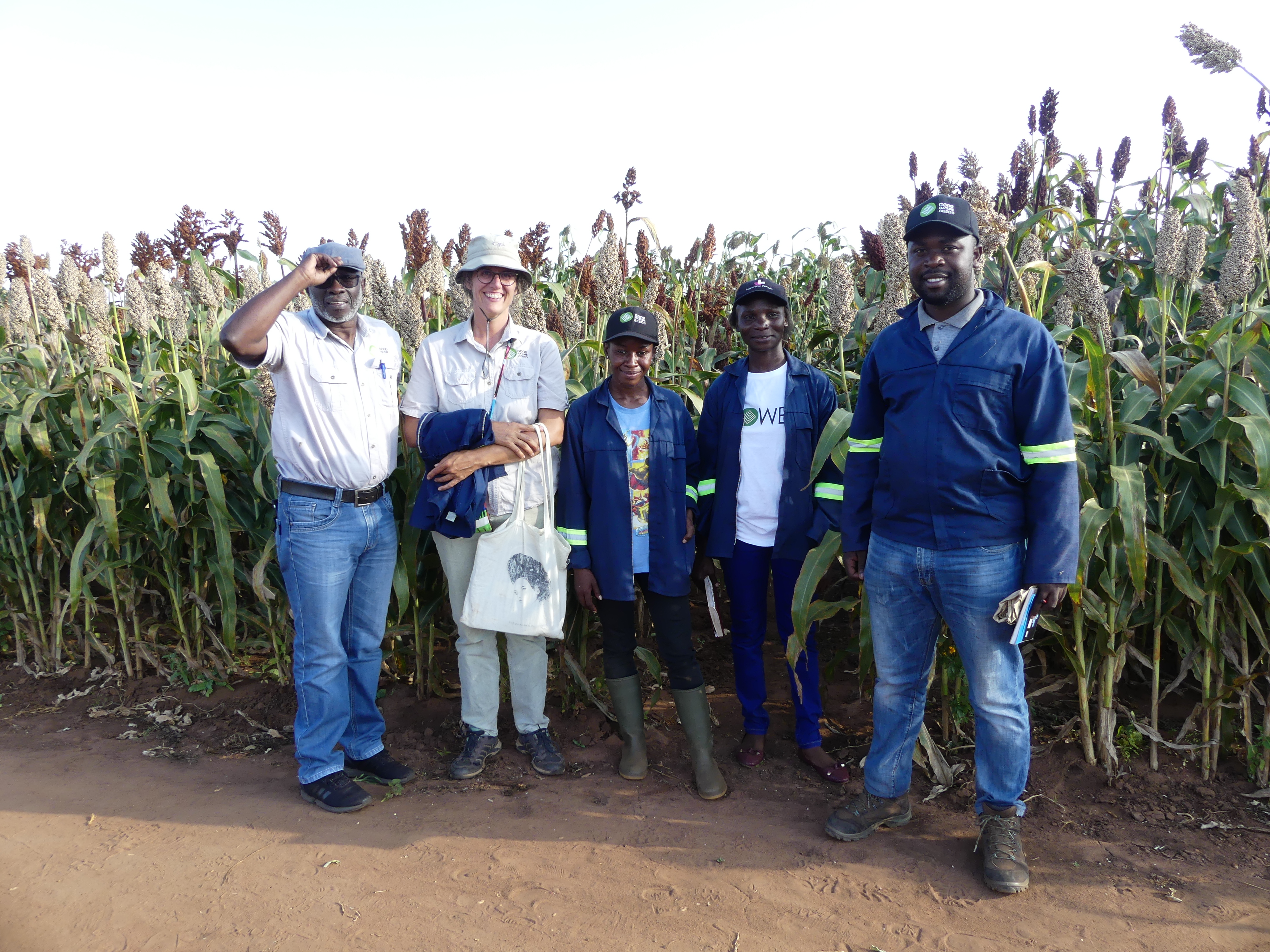 Zambian sorghum team of 5 people in front of an on-station trial