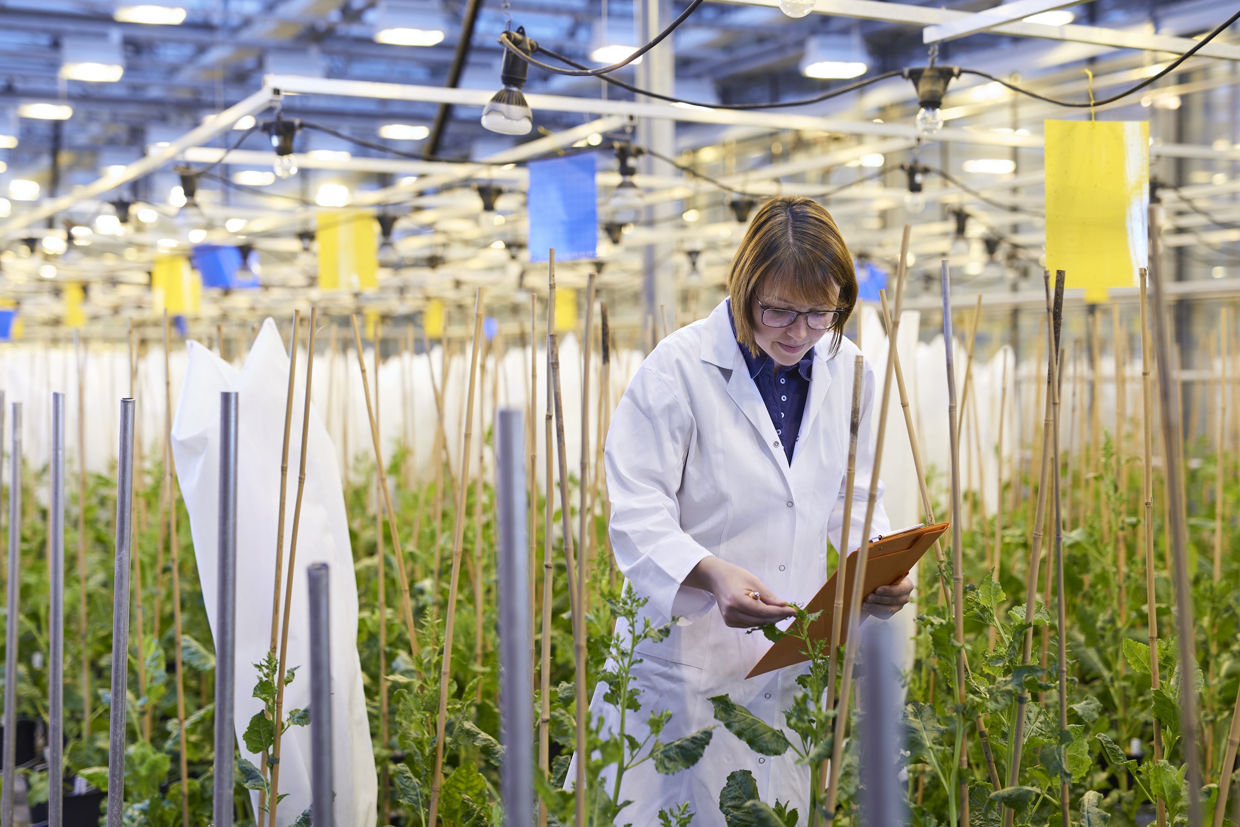 Plant breeders need as much biodiversity as possible in their work.
