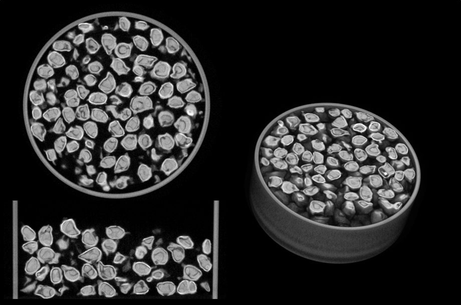 The sugarbeet seed in different 3D representations inside the container.