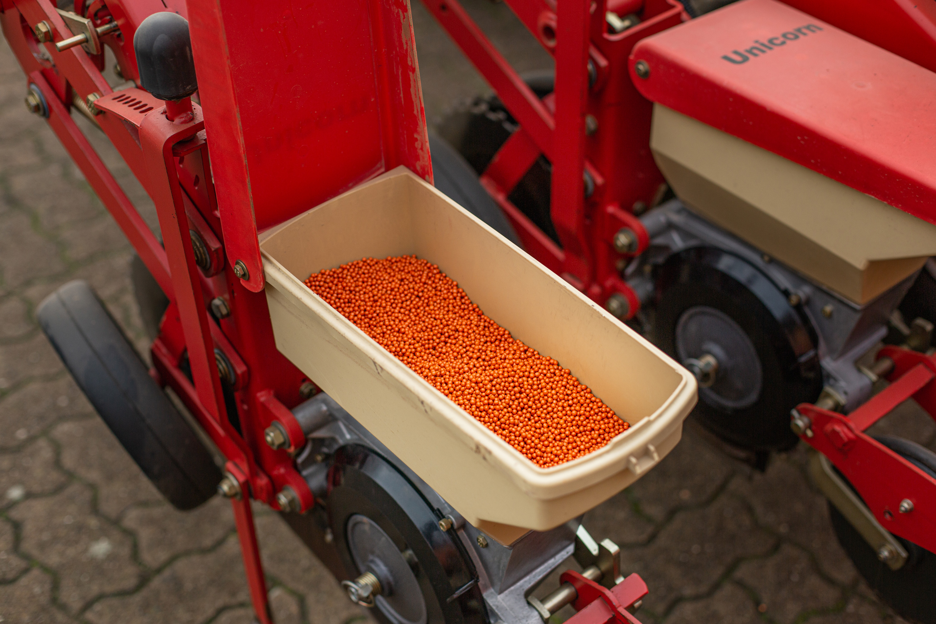 Im Sammelbehälter einer Drillmaschine ist orangefarbenes Saatgut von KWS eingefüllt.
