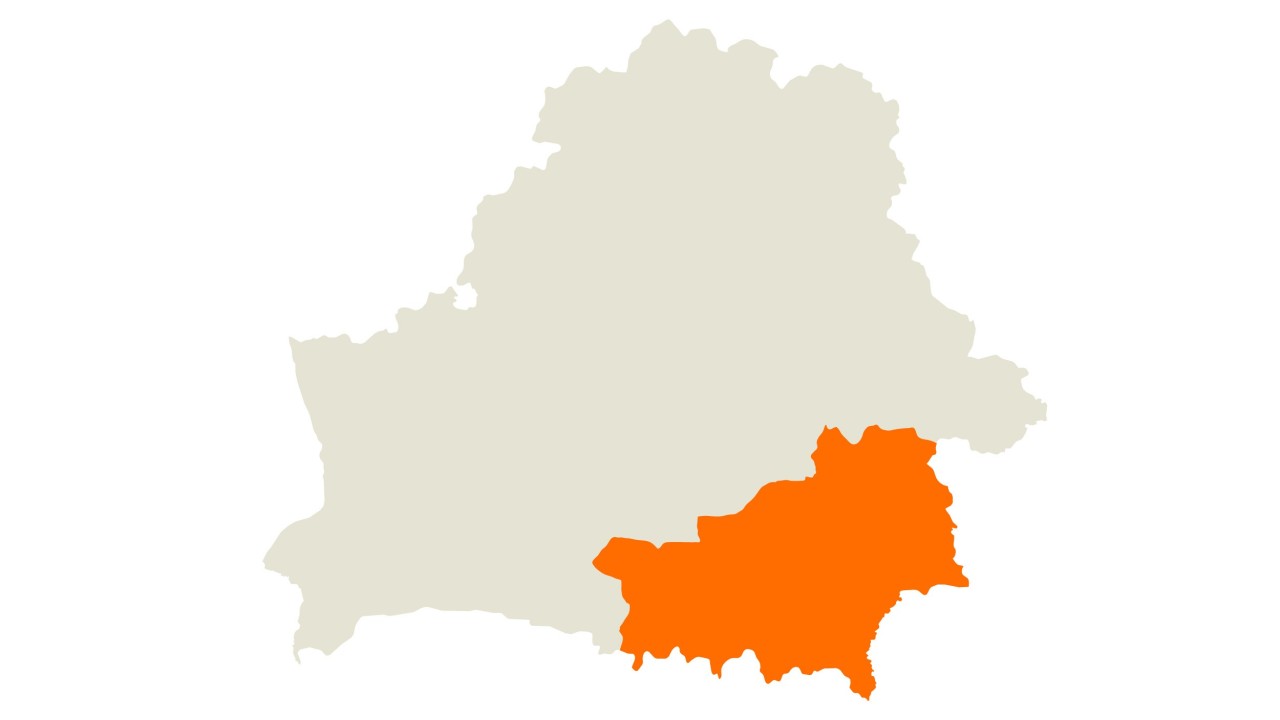 kws_by_consultant_map_gomel.jpg