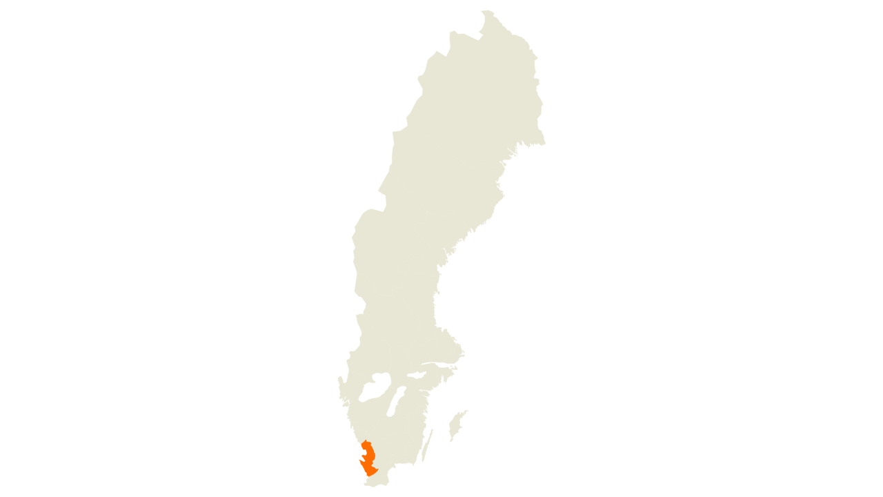 kws_se_zuckerruebe_2.png