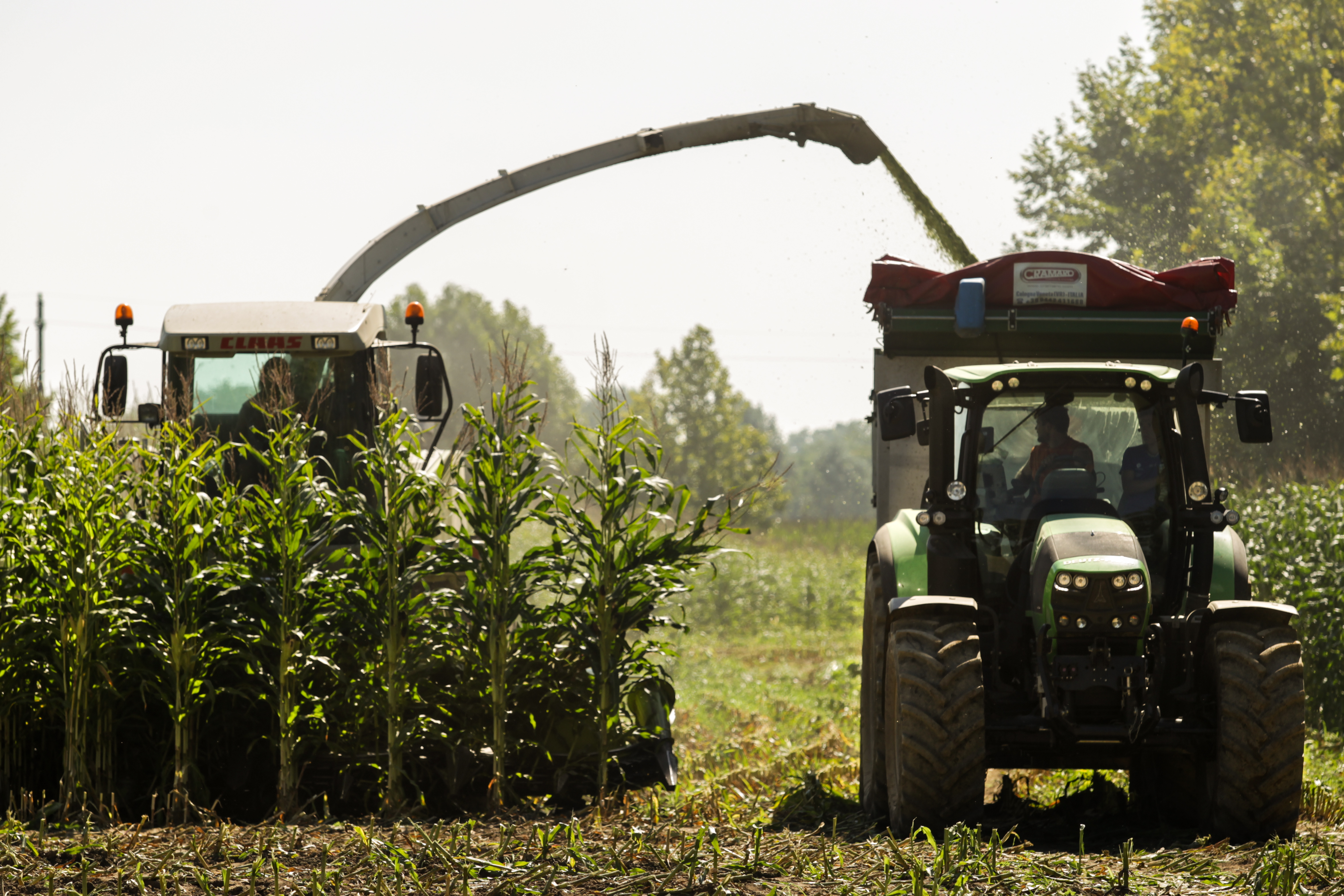 KWS-Corn-Silage-Harvest-Tractor.jpg