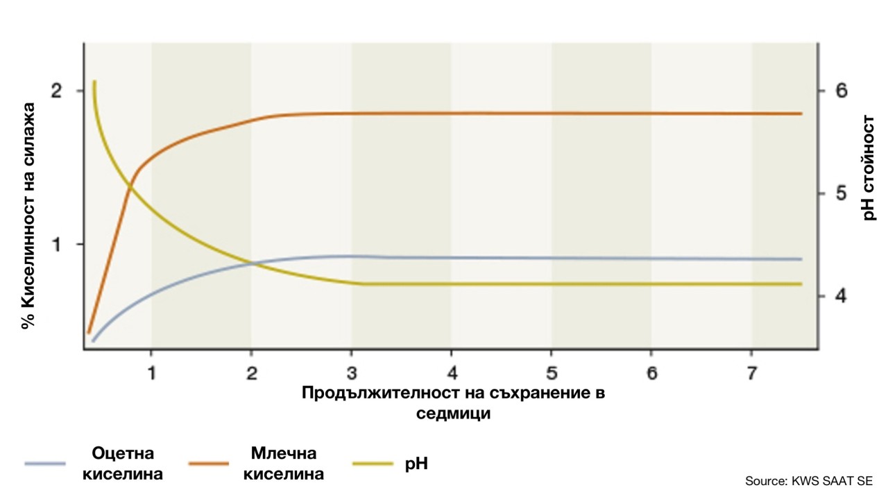 Източник: KWS SAAT SE & Co. KGaA