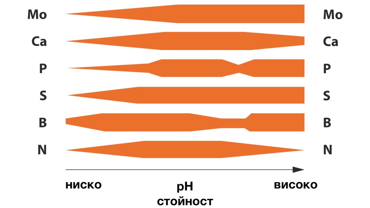 Източник: колекция от слайдове инкона