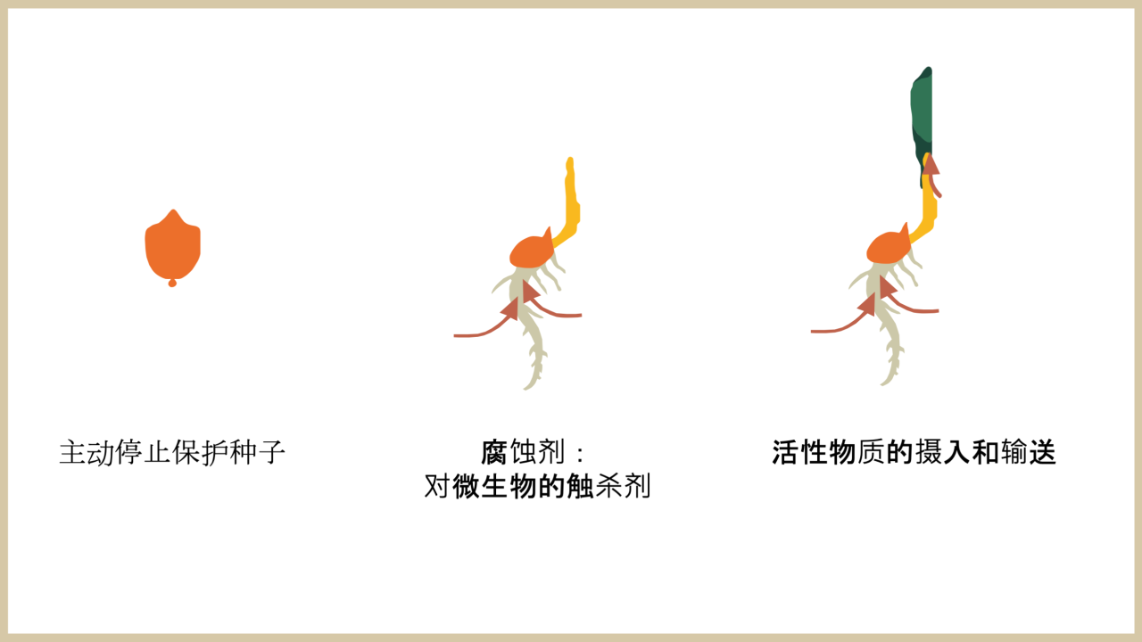 来源:Bayer Cropscience