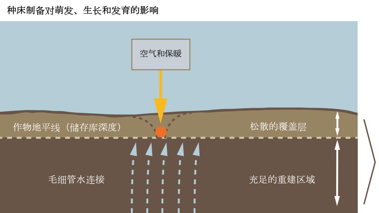 kws_sowing_tillage_sugarbeet_1_cn.png