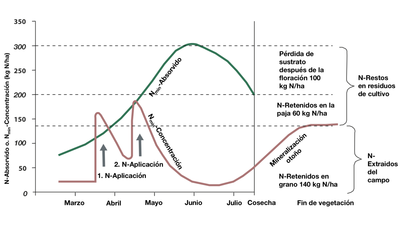 Fuente: KWS SAAT SE