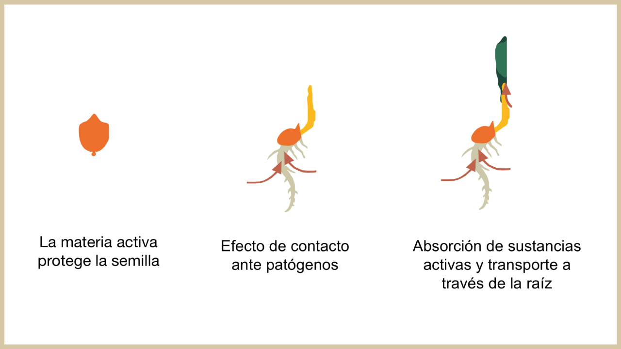 Fuente: Bayer Cropscience