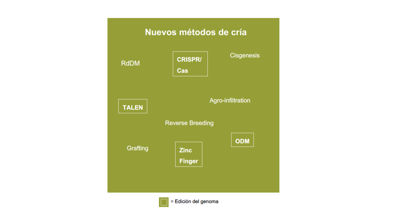 kws_edici_n_del_genoma_1.png