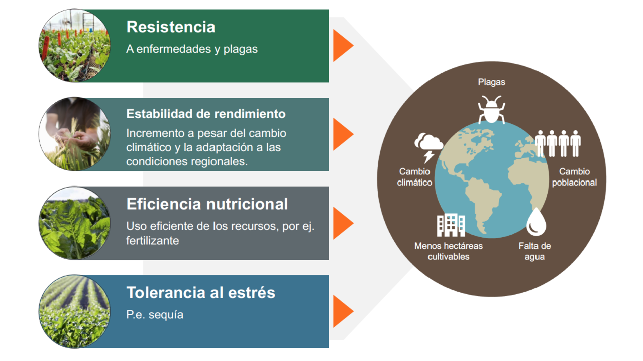 Objetivos de fitomejoramiento de KWS