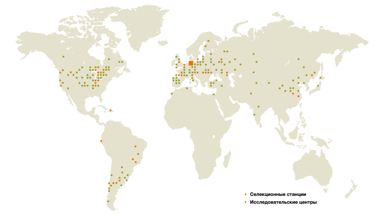 Worldwide KWS breeding network