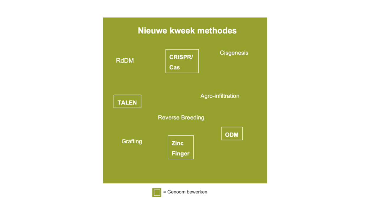 kws_innovation_genome_editing_nl.png