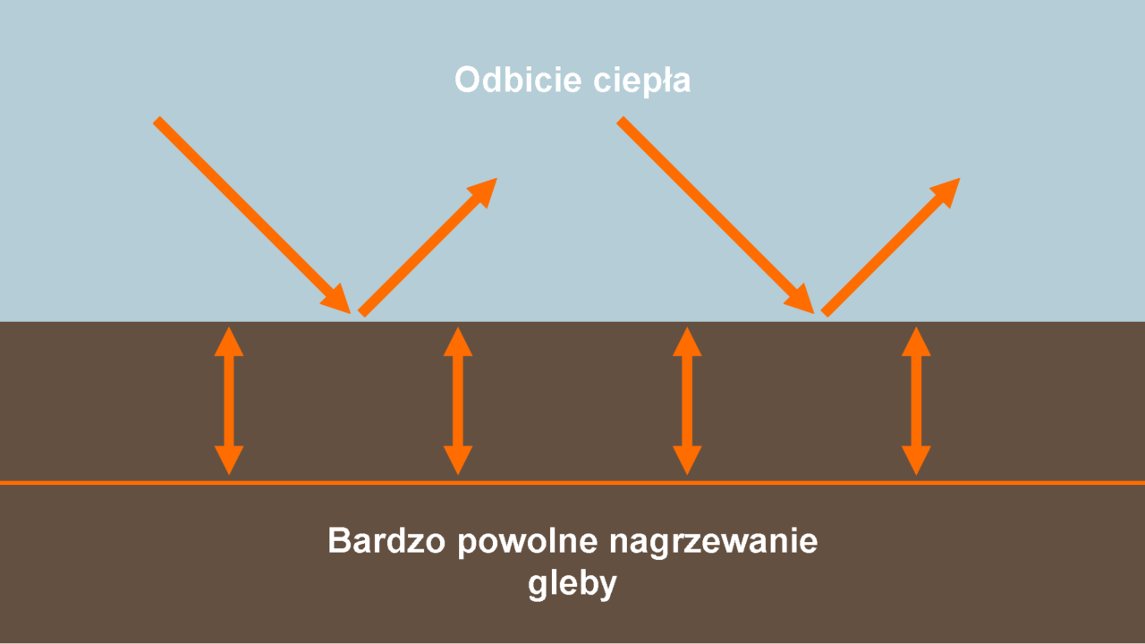 Źródło: KWS SAAT SE & Co. KGaA