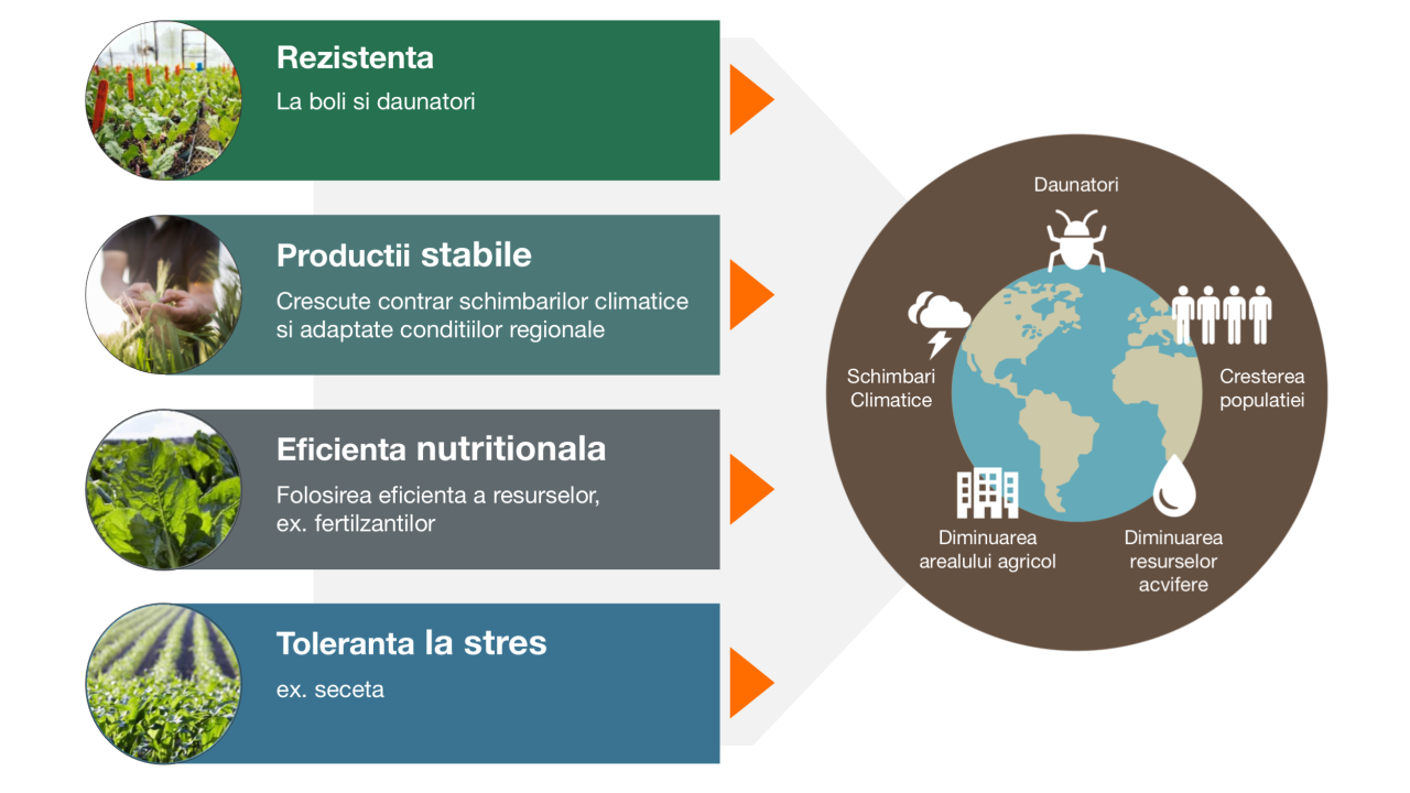 Obiective de ameliorare la KWS