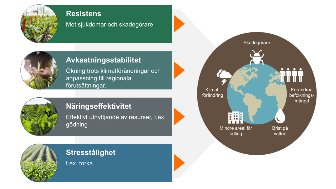 KWS förädlingsmål