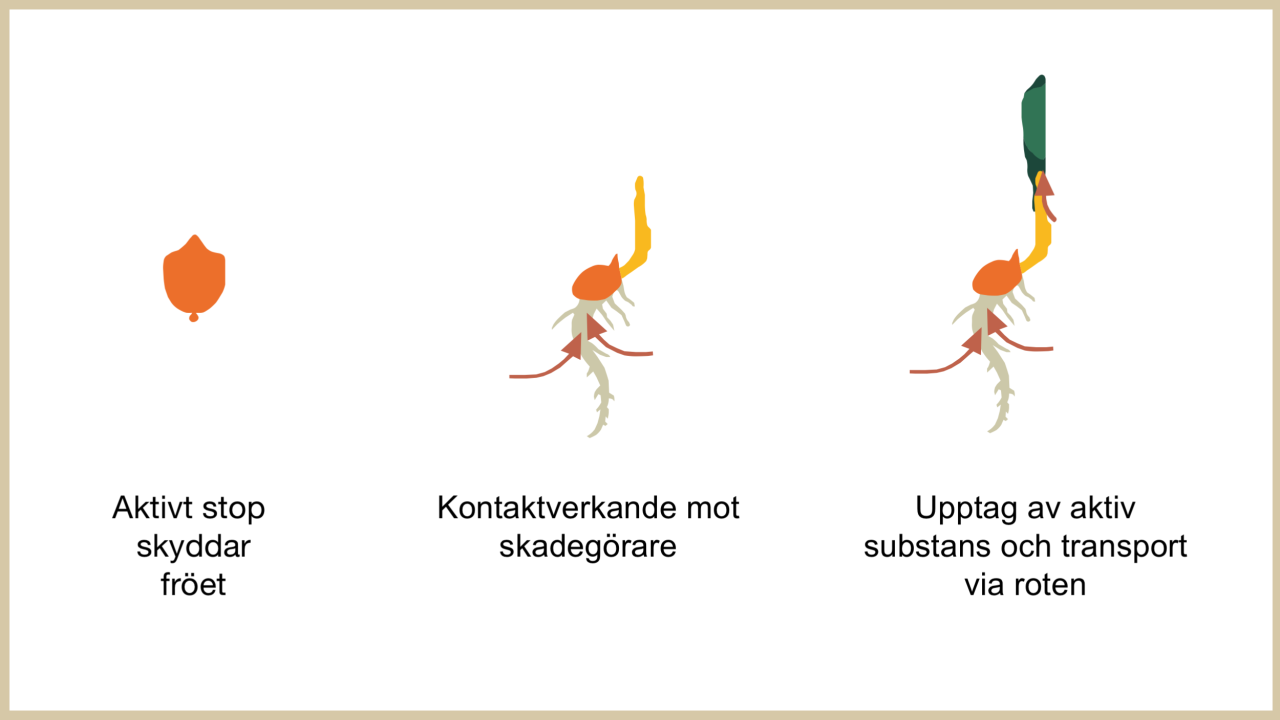 Källa: Bayer Cropscience
