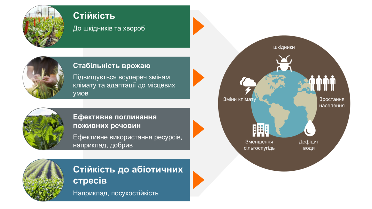 Селекційні завдання KWS