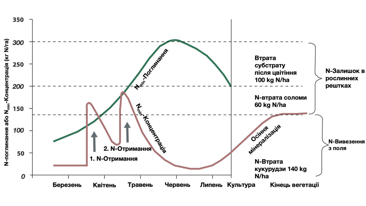 Джерело: KWS SAAT SE & Co. KGaA
