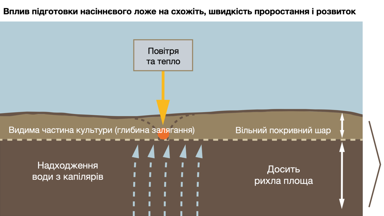 kws_sowing_tillage_sugarbeet_1variety_image_ua.png
