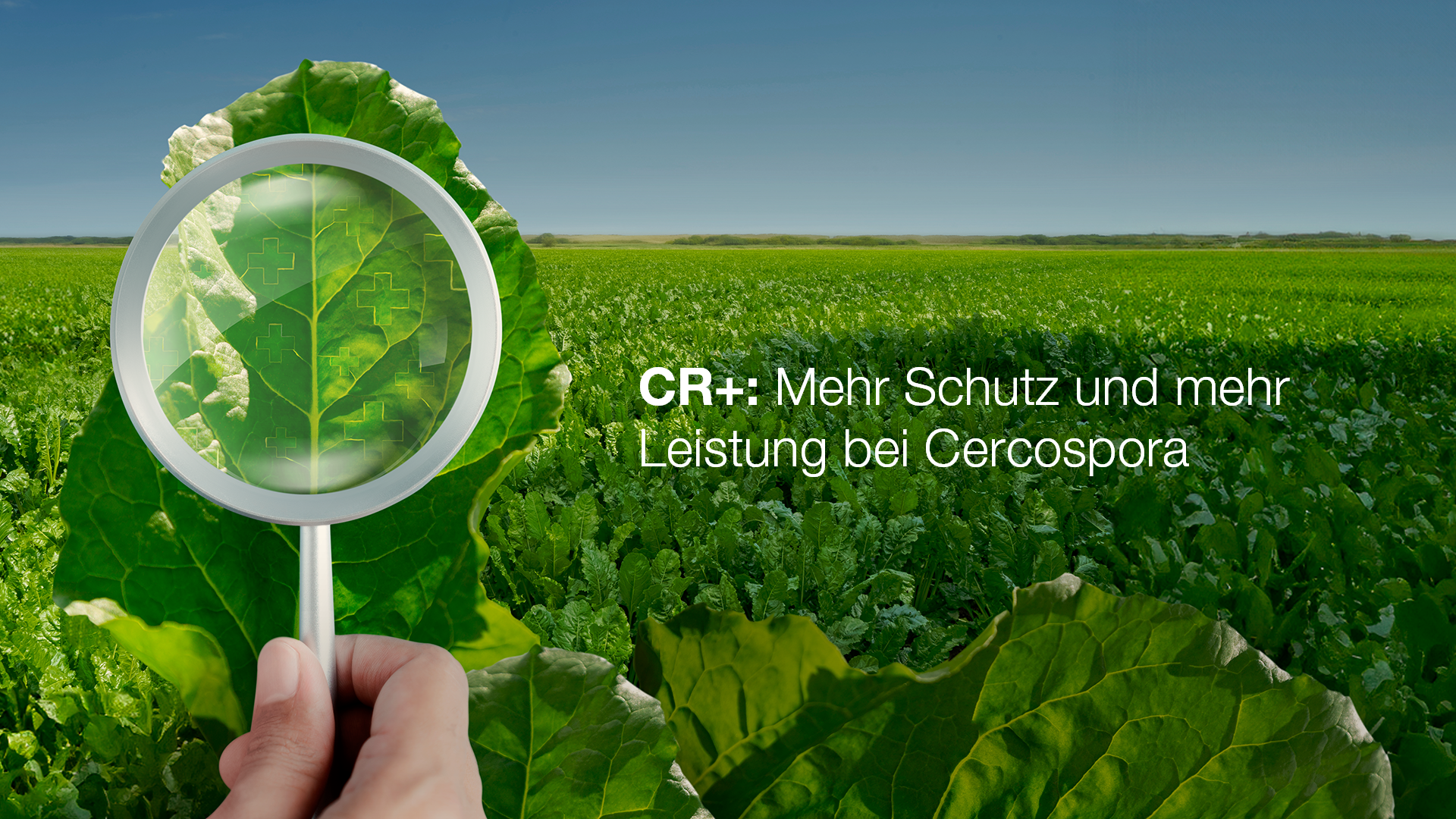 CR+: Mehr Schutz + Mehr Leistung