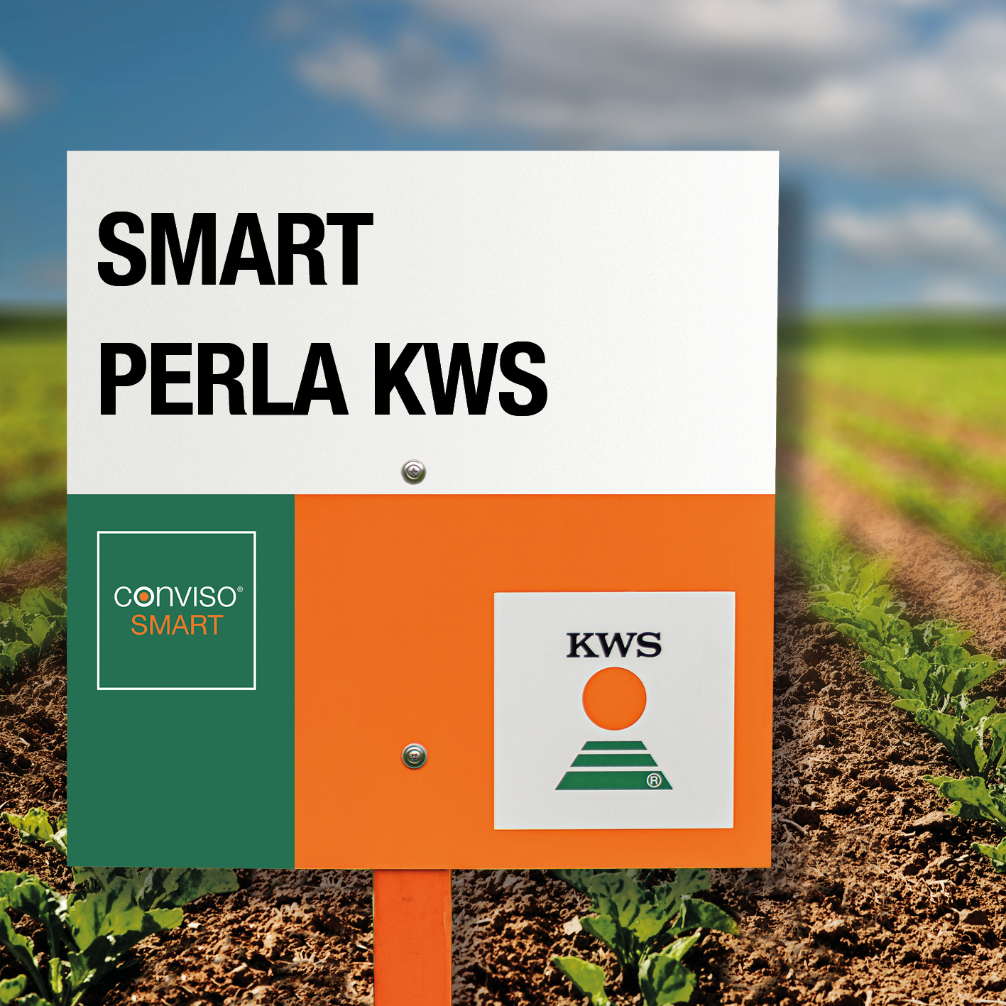 SMART-PERLA-KWS.jpg