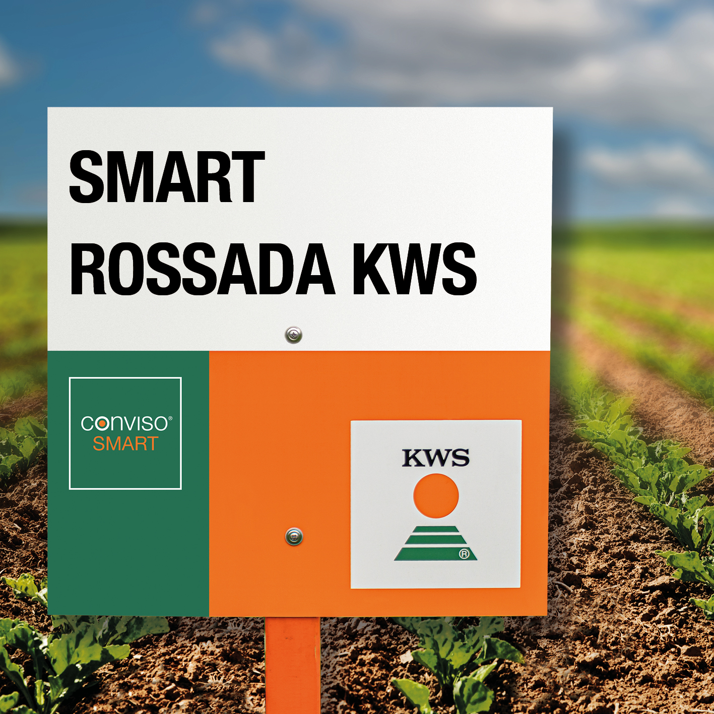 SMART-ROSSADA-KWS.png