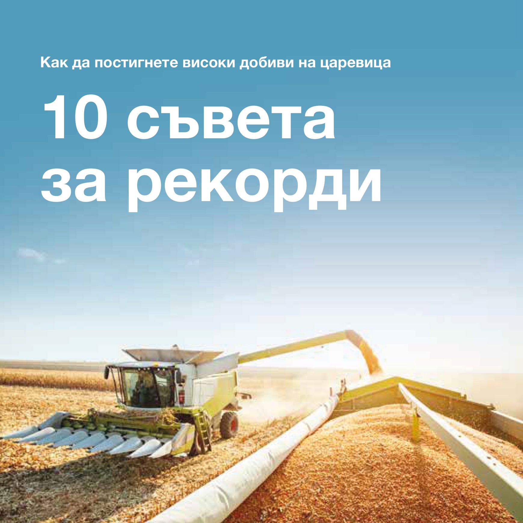 Plus4GRAIN corn max guide first page