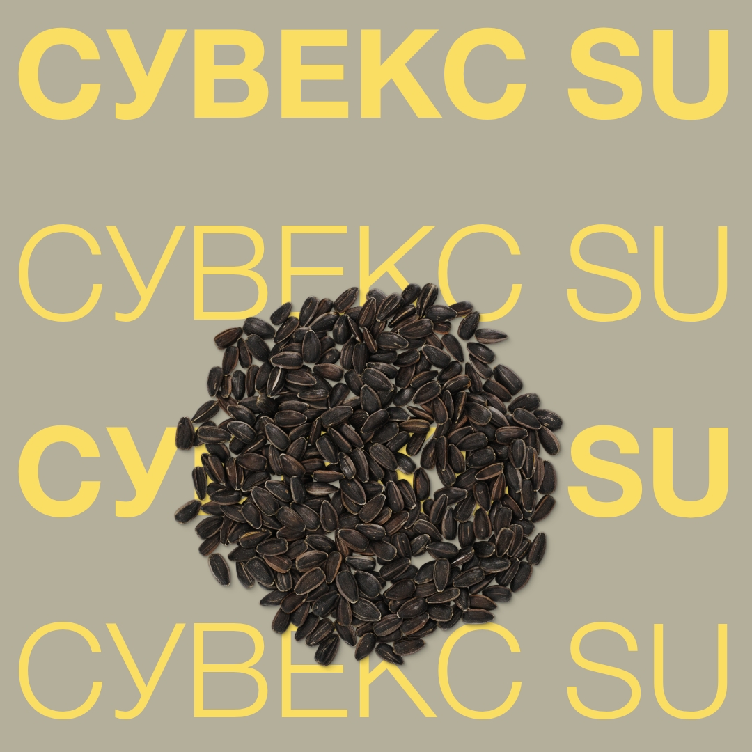 SUVEKS_SU_Keyvisual_BG_1x1_1.jpg