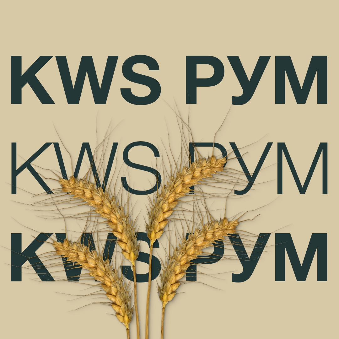 KWS_RUM_Keyvisual_BG_1x1_1.jpg