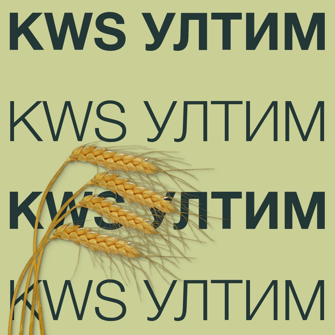 KWS_ULTIM_Keyvisual_BG_1x1_1.jpg