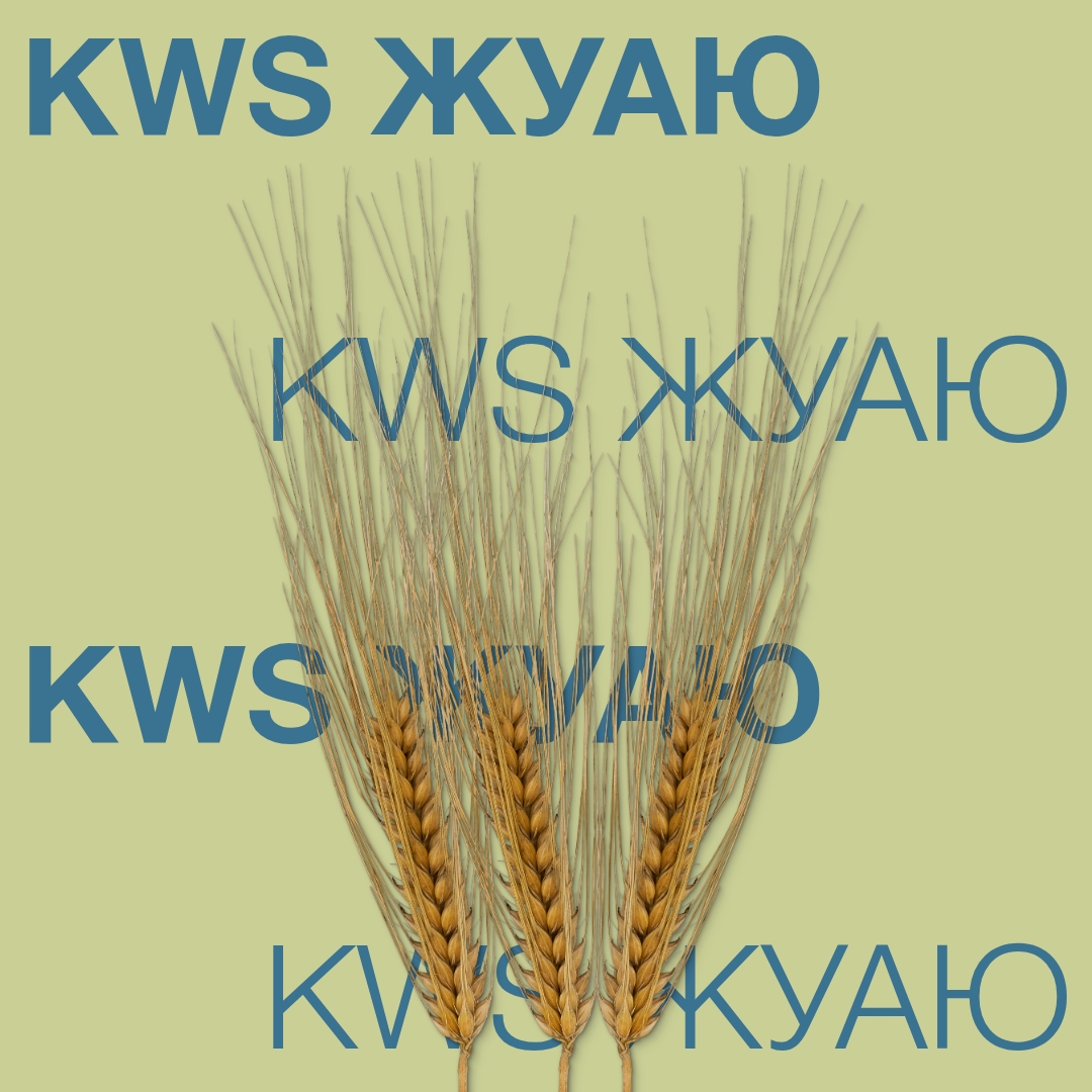 KWS_ZUAU_Keyvisual_BG_1x1_1.jpg