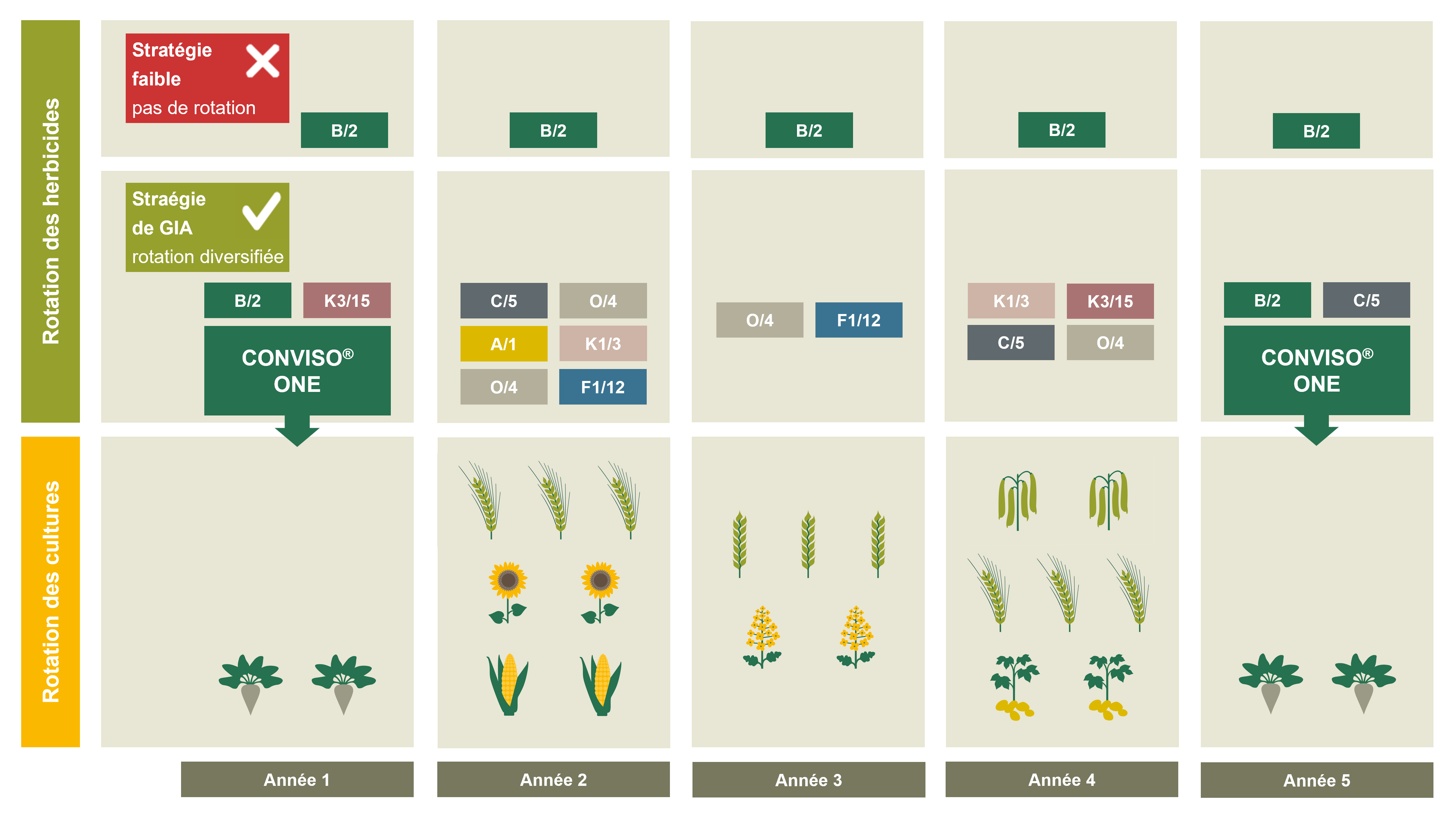 ** En fonction de leur mode d&#39;action, les herbicides sont classés par le &#34; Herbicide Resistance Action Committee &#34; (HRAC) en groupes HRAC. Le système de code HRAC est passé des lettres aux chiffres en 2020. Les deux classifications sont présentées dans le graphique.