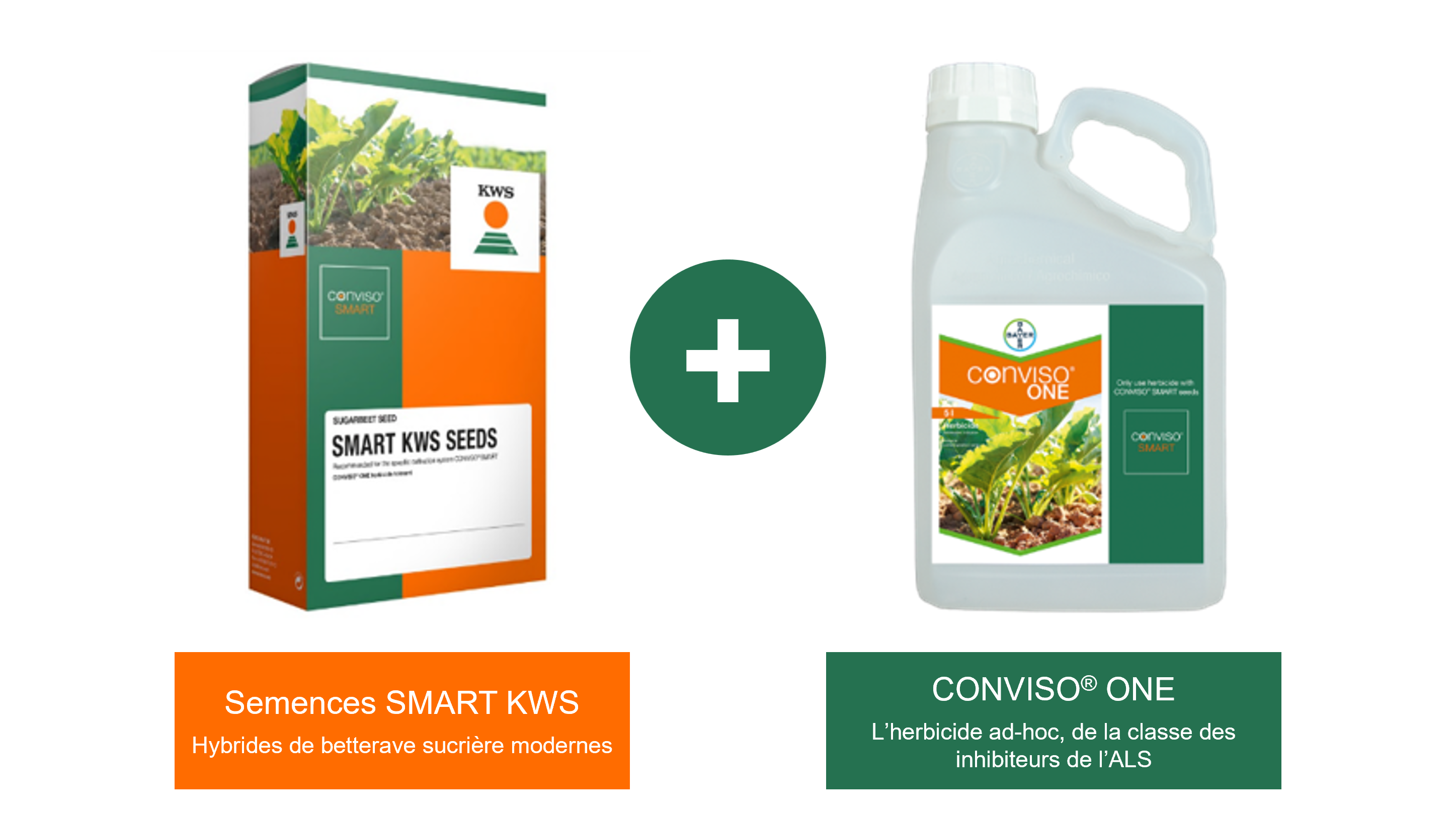 semences-SMART-KWS_herbicide-CONVISO-ONE_FR.png