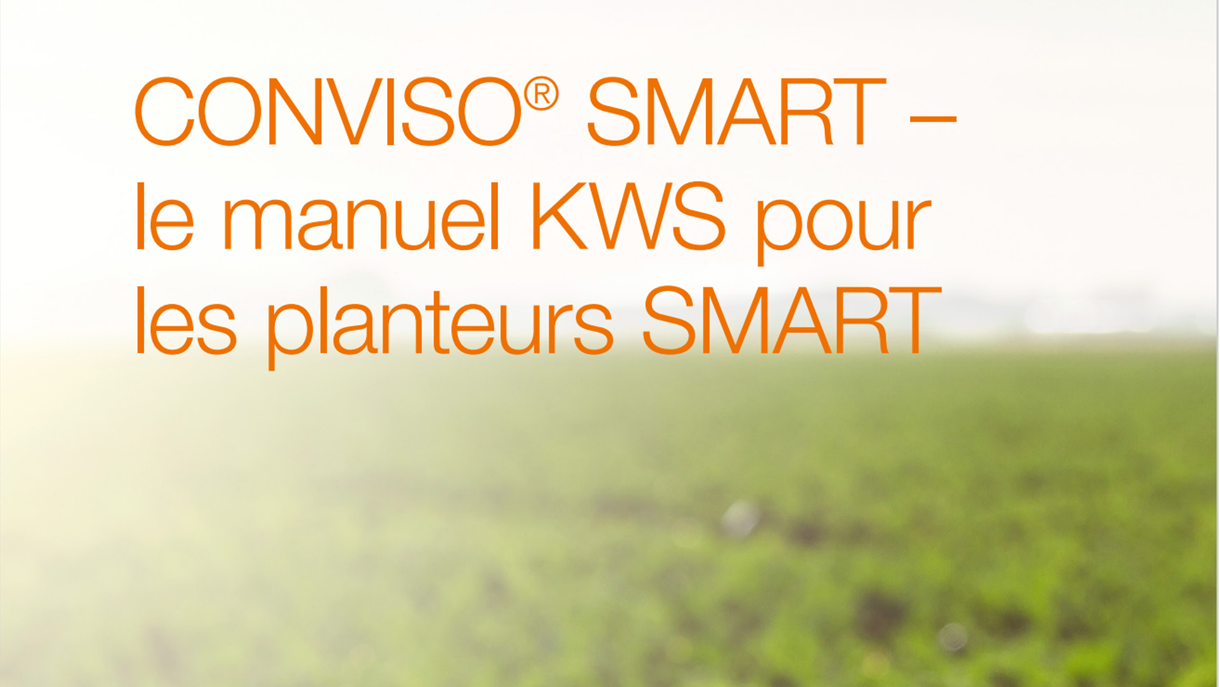 CONVISO_SMART_le-manuel-KWS-pour-les-planteurs-SMART.jpg