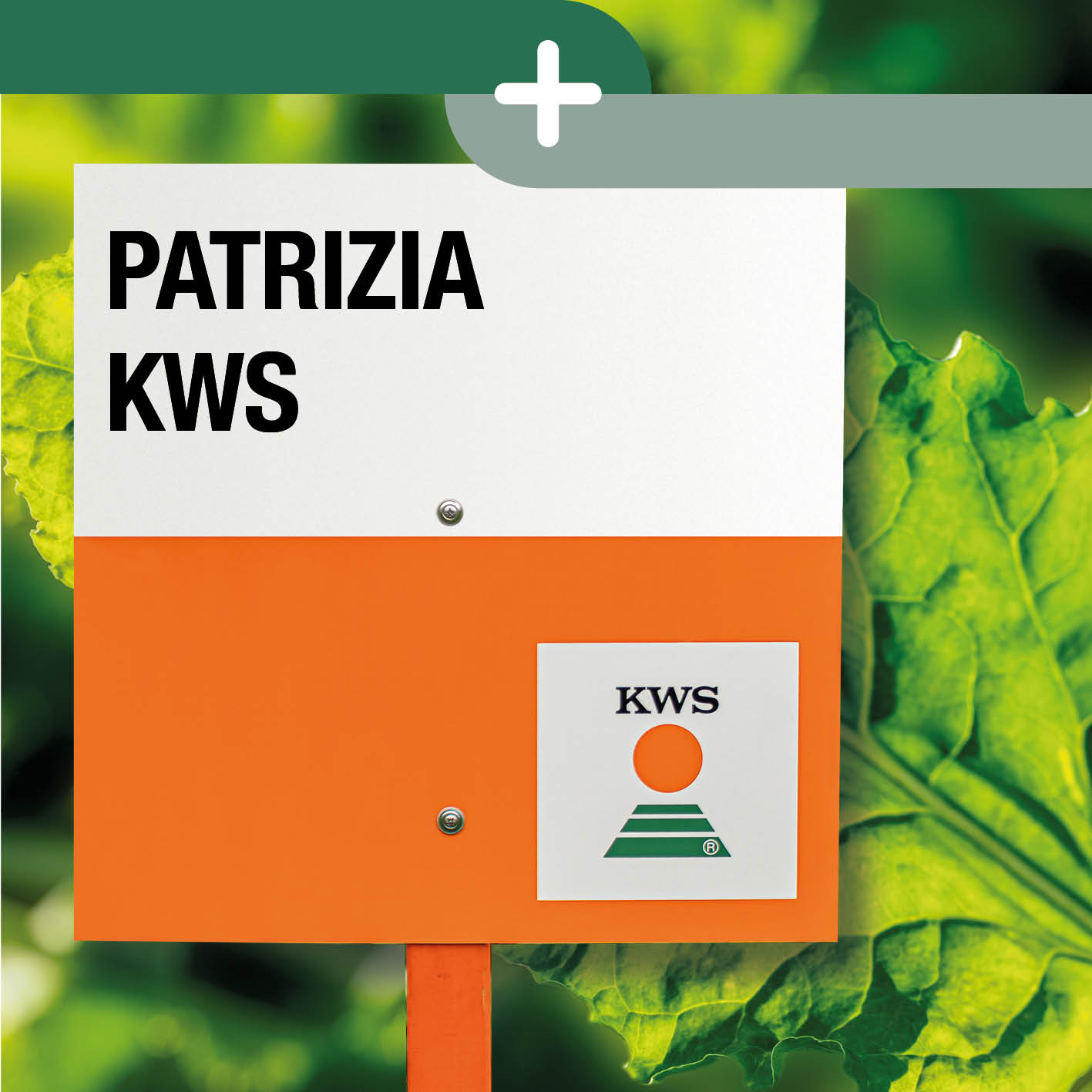 9727_KWS_Visuals_Website_PATRIZIA_KWS.jpg
