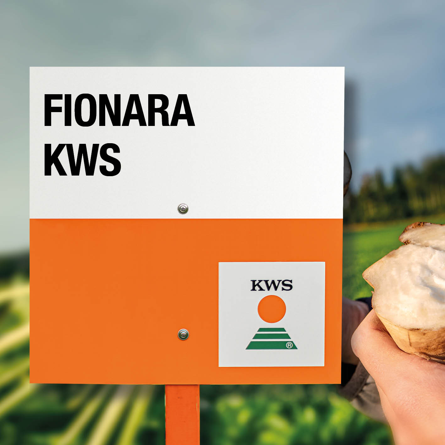 9838_KWS_Visual_FionaraKWS.jpg
