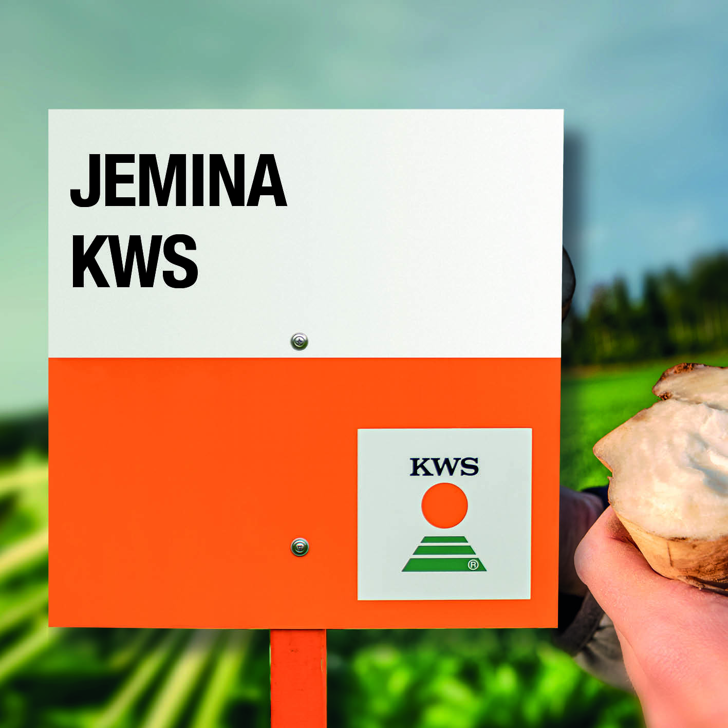 9909_KWS_Visuals_Website_JeminaKWS.jpg