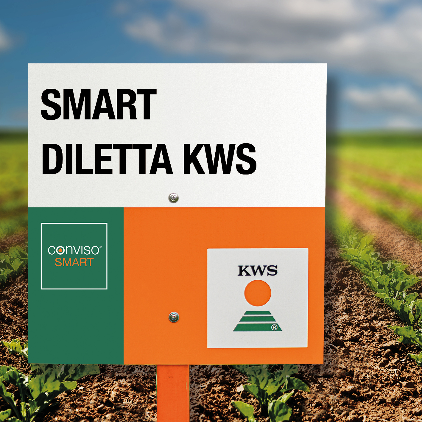 Smart_Diletta_KWS.jpg