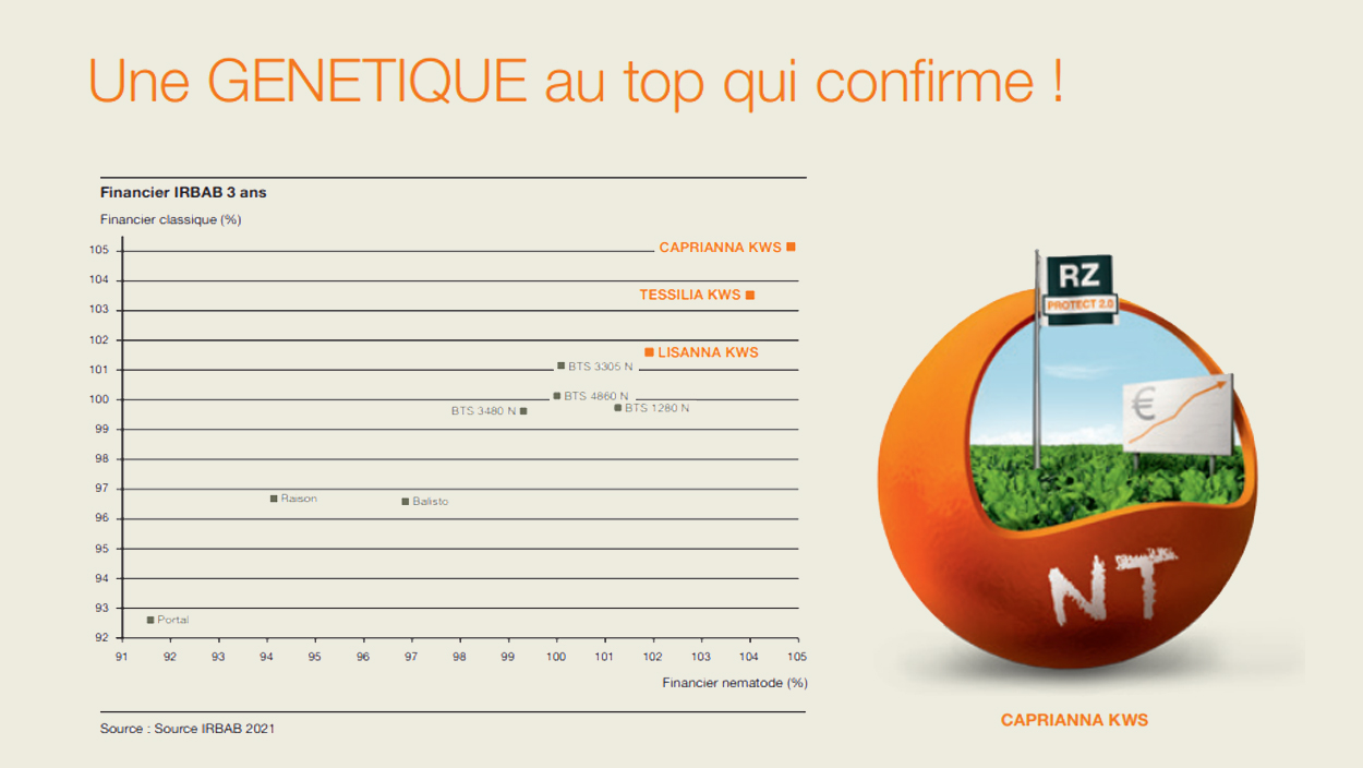 Betterave sucrière Produits KWS Benelux B.V.