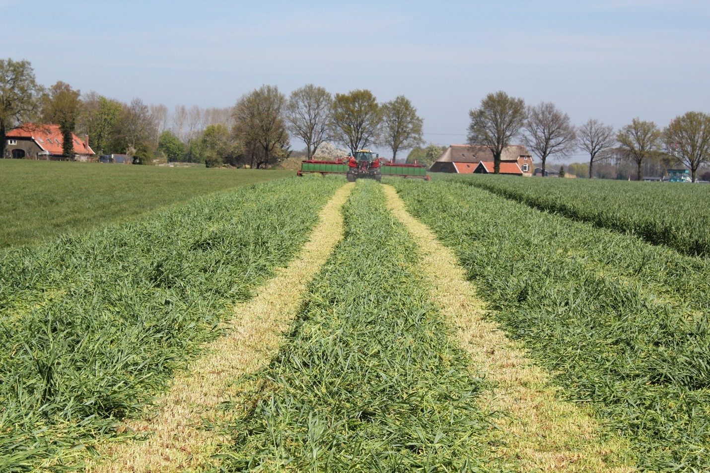 Met-Snelle-Lente-Rogge-zijn-bij-oogst-in-april-opbrengsten-van-4-tot-5-ton-drogestof-per-hectare-mogelijk.jpg