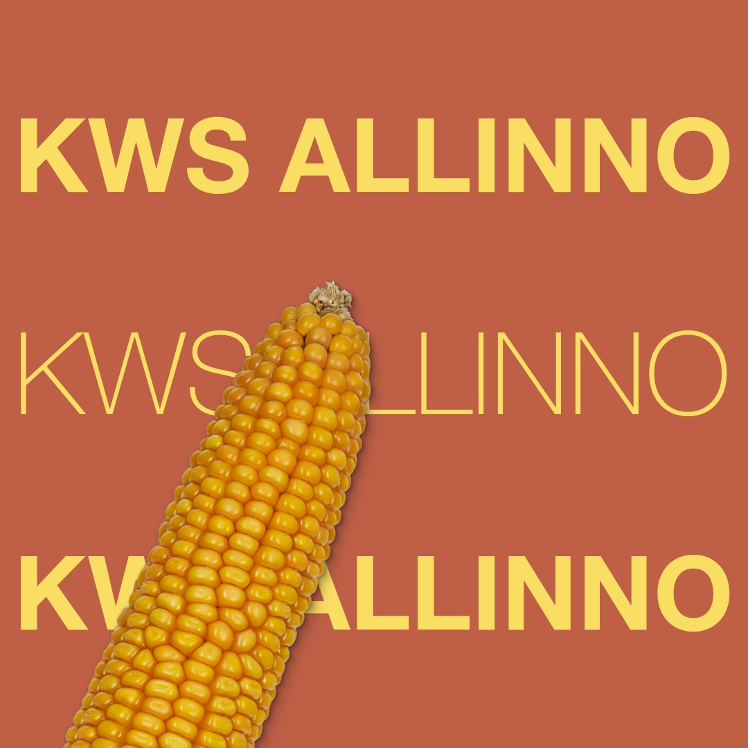 KWS_ALLINNO_Keyvisual_NL_1x1_1.jpg