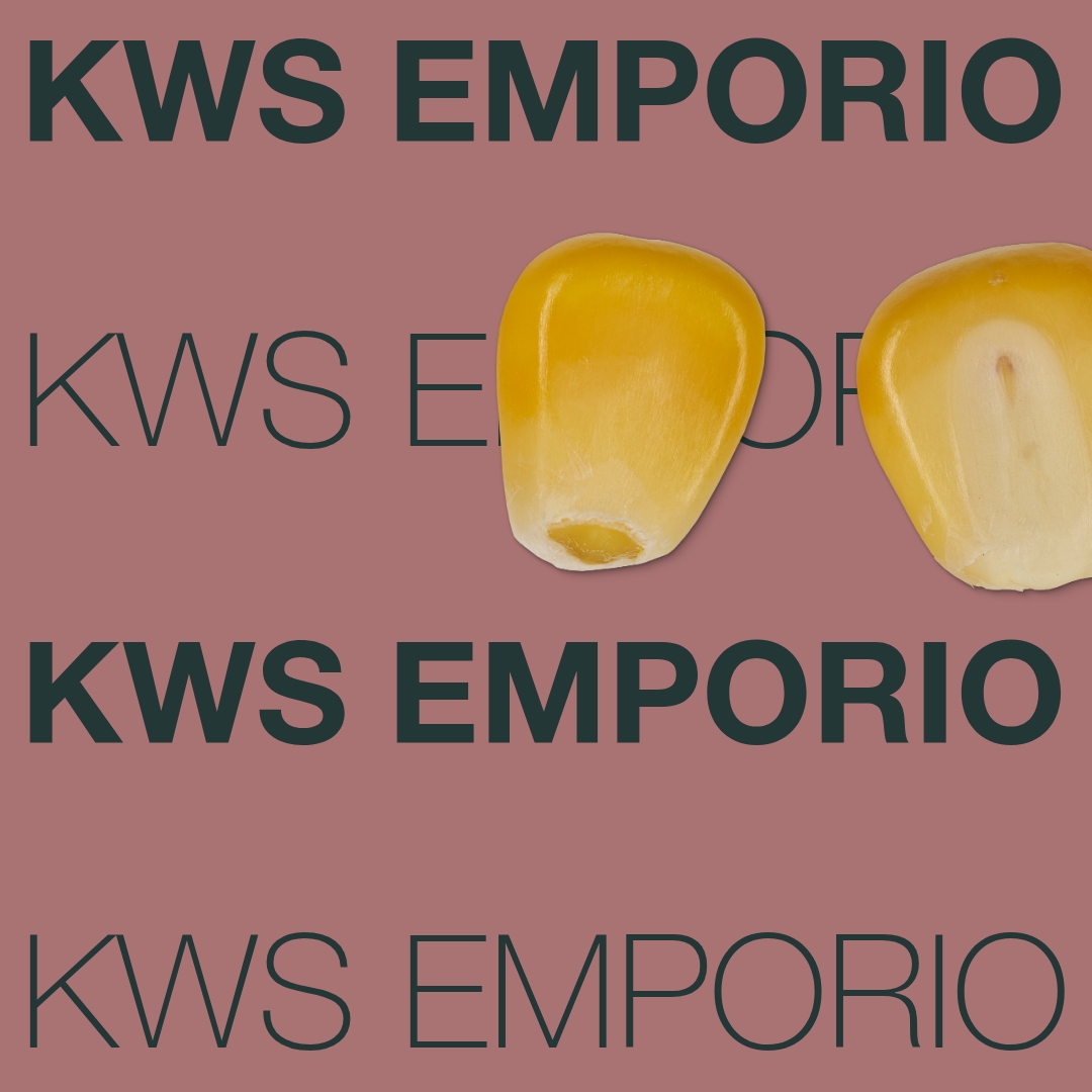 KWS_EMPORIO_Keyvisual_NL_1x1_1.jpg