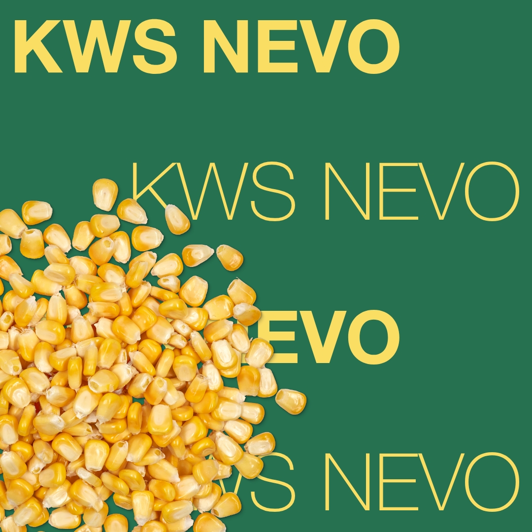KWS_NEVO_Keyvisual_NL_1x1_1.jpg